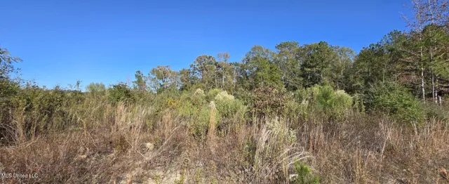 $161,000 | 280 Pushapatapa Road, Tylertown, MS 39667