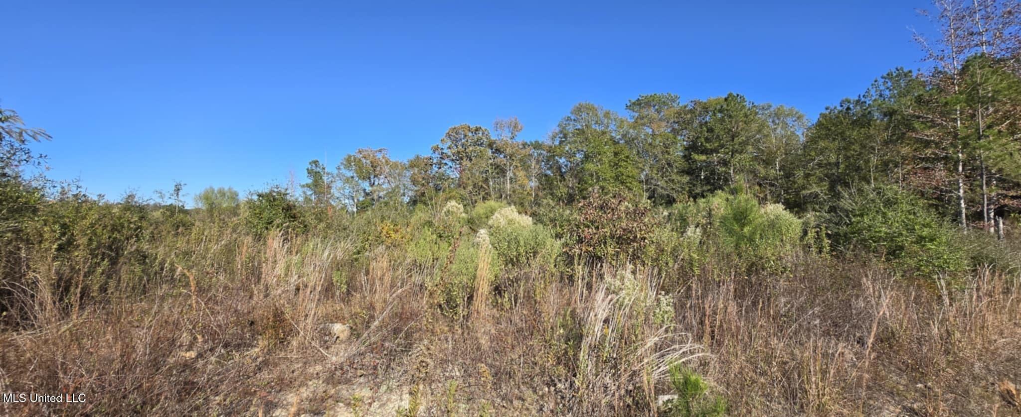 280 Pushapatapa Road Tylertown, MS 39667 - Photo 68 of 79 d92dd8be-40d1-4763-abda-fba609e3dbba