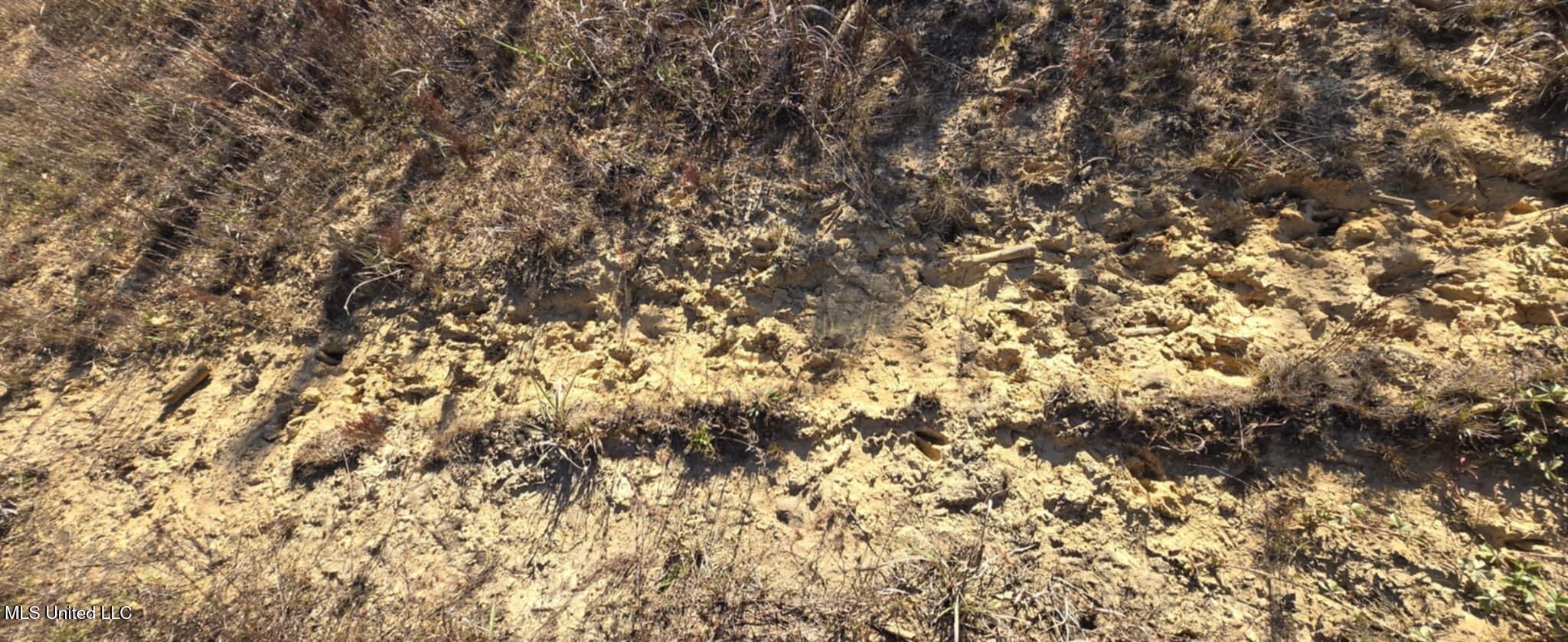 280 Pushapatapa Road Tylertown, MS 39667 - Photo 69 of 79 d395c0f6-852a-4a8a-865d-755d302eb7dd