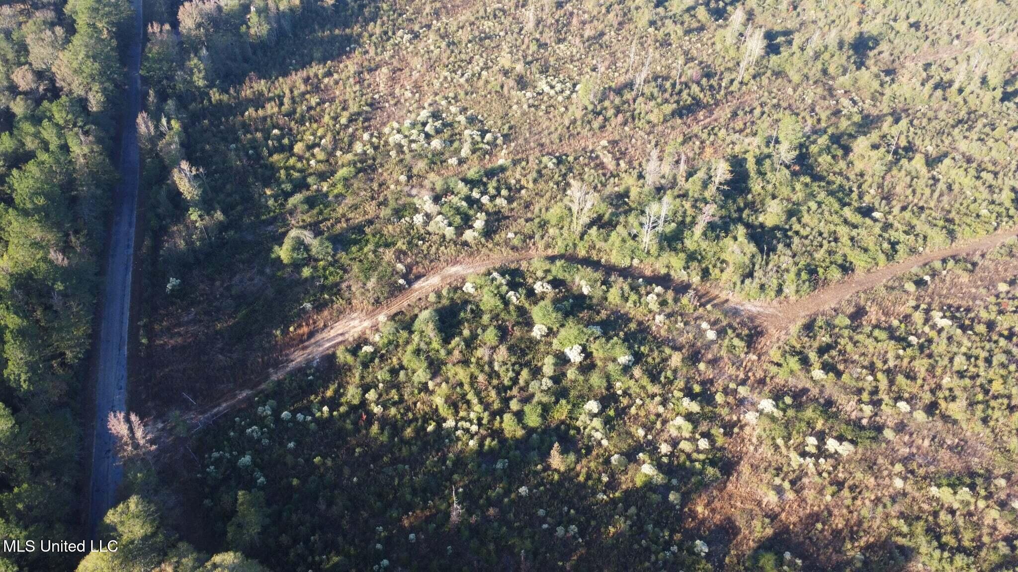 280 Pushapatapa Road Tylertown, MS 39667 - Photo 70 of 79 de216ed4-89f2-42e6-a9b9-ddaeaa4db064