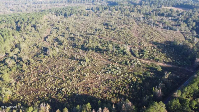 $161,000 | 280 Pushapatapa Road, Tylertown, MS 39667