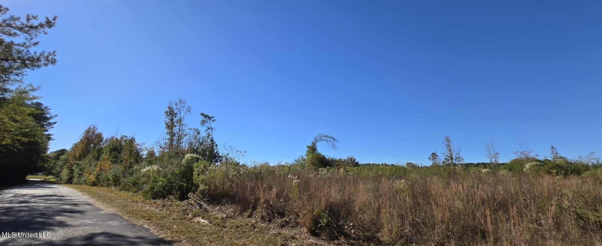 280 Pushapatapa Road Tylertown, MS 39667 - Photo 71 of 79 dfde727b-9fac-40c0-8eba-b55a95ba2c78