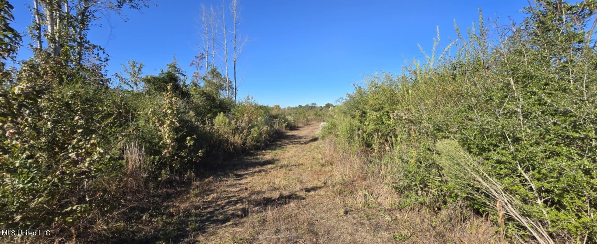 280 Pushapatapa Road Tylertown, MS 39667 - Photo 72 of 79 dfe69d54-719c-4058-b84b-7281d2df72b9