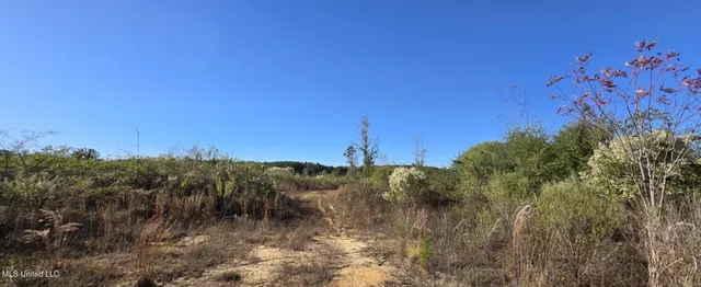 $161,000 | 280 Pushapatapa Road, Tylertown, MS 39667