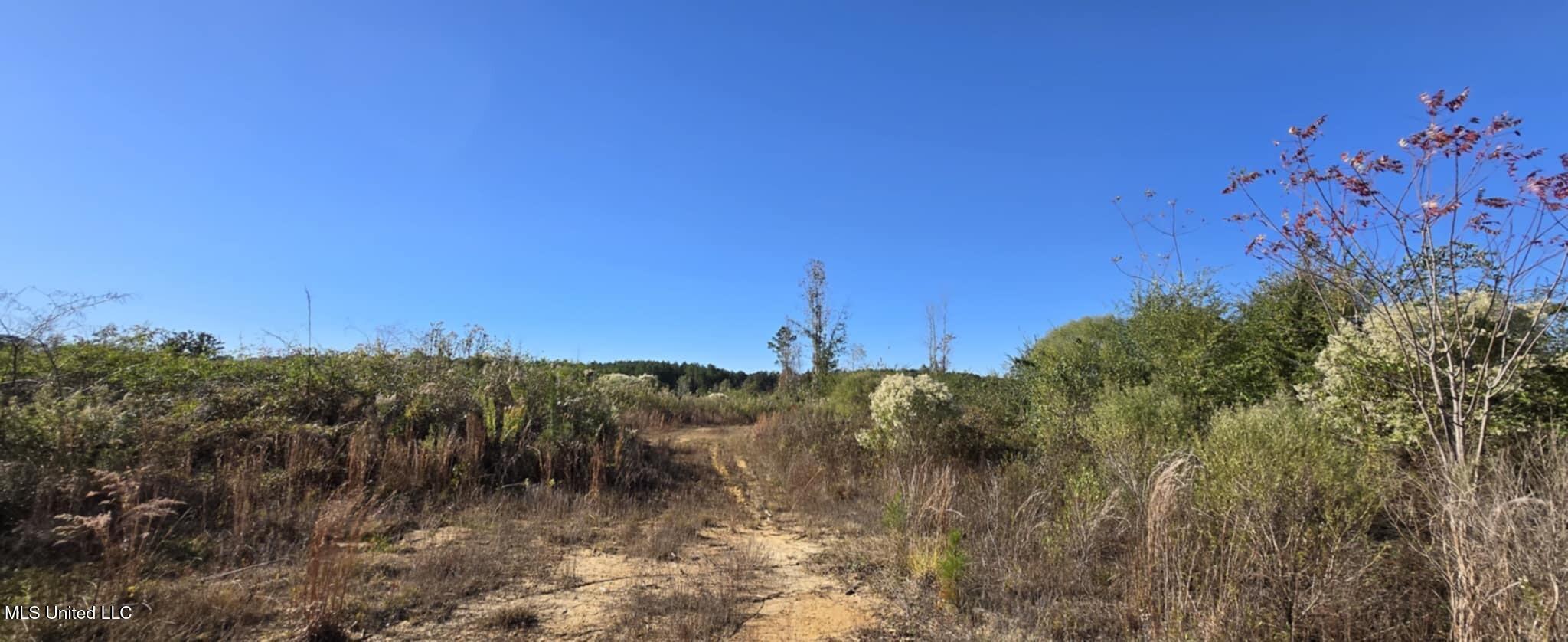 280 Pushapatapa Road Tylertown, MS 39667 - Photo 73 of 79 e6aba3e2-7585-46ed-9d8d-7af66f5003d3