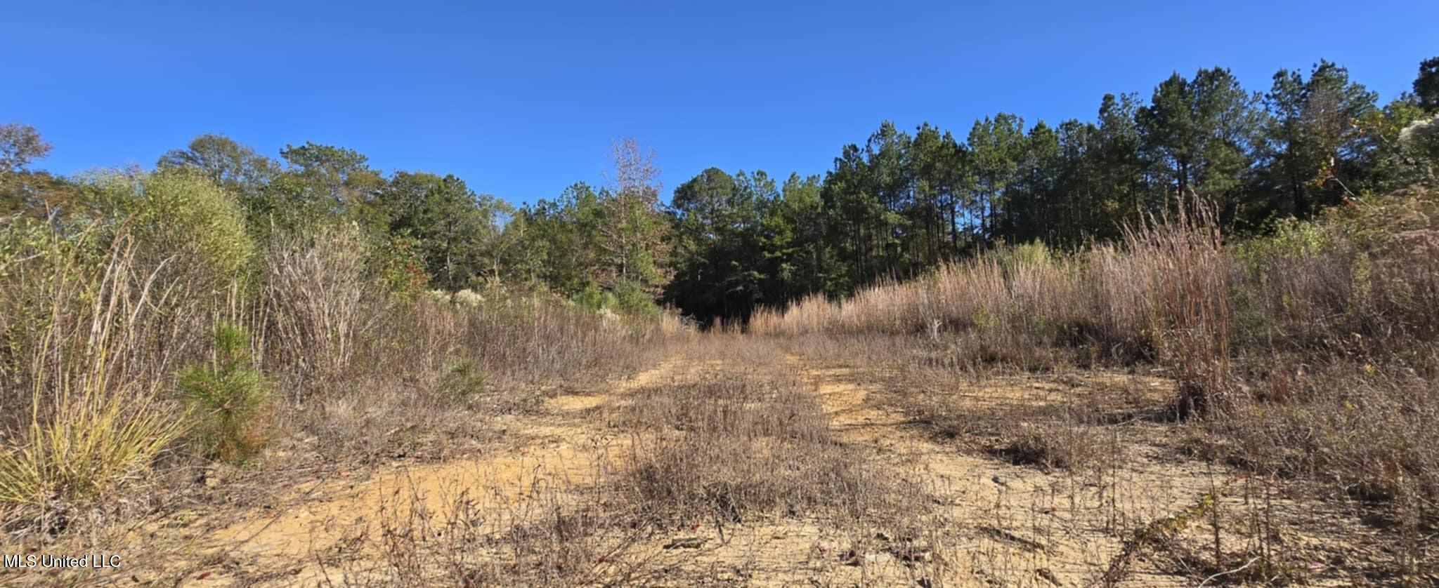 280 Pushapatapa Road Tylertown, MS 39667 - Photo 74 of 79 e1372096-db57-497a-aaaf-1b28570df406