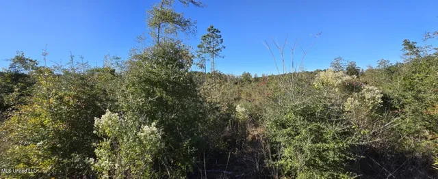 $161,000 | 280 Pushapatapa Road, Tylertown, MS 39667