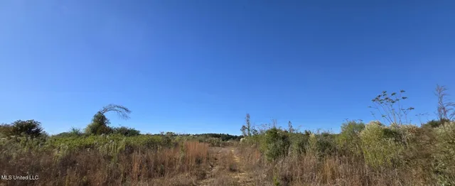 $161,000 | 280 Pushapatapa Road, Tylertown, MS 39667