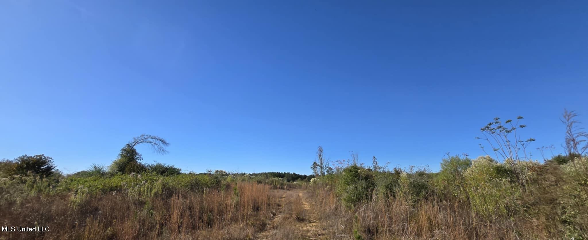 280 Pushapatapa Road Tylertown, MS 39667 - Photo 77 of 79 ef0d0191-2c3f-422d-959e-345cf922c2c6