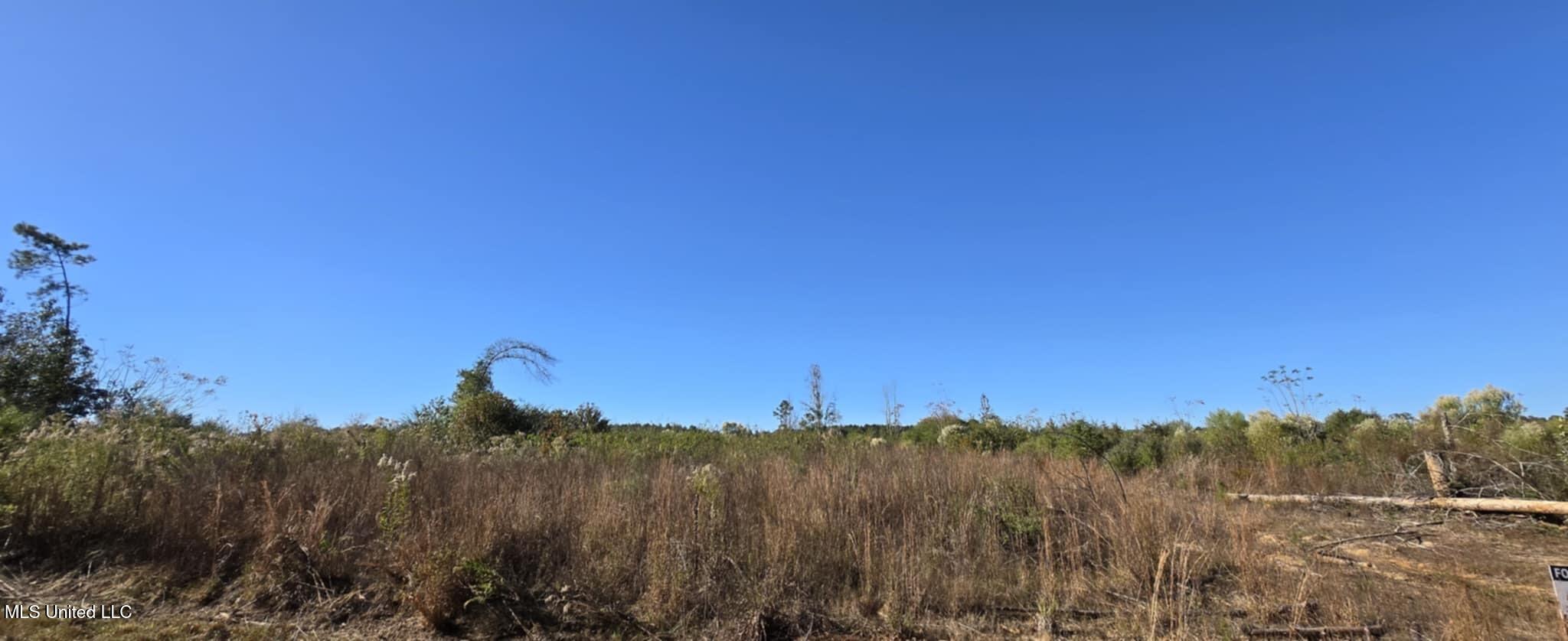 280 Pushapatapa Road Tylertown, MS 39667 - Photo 78 of 79 efe2e62e-80a9-43d9-8c15-0951c96361f9