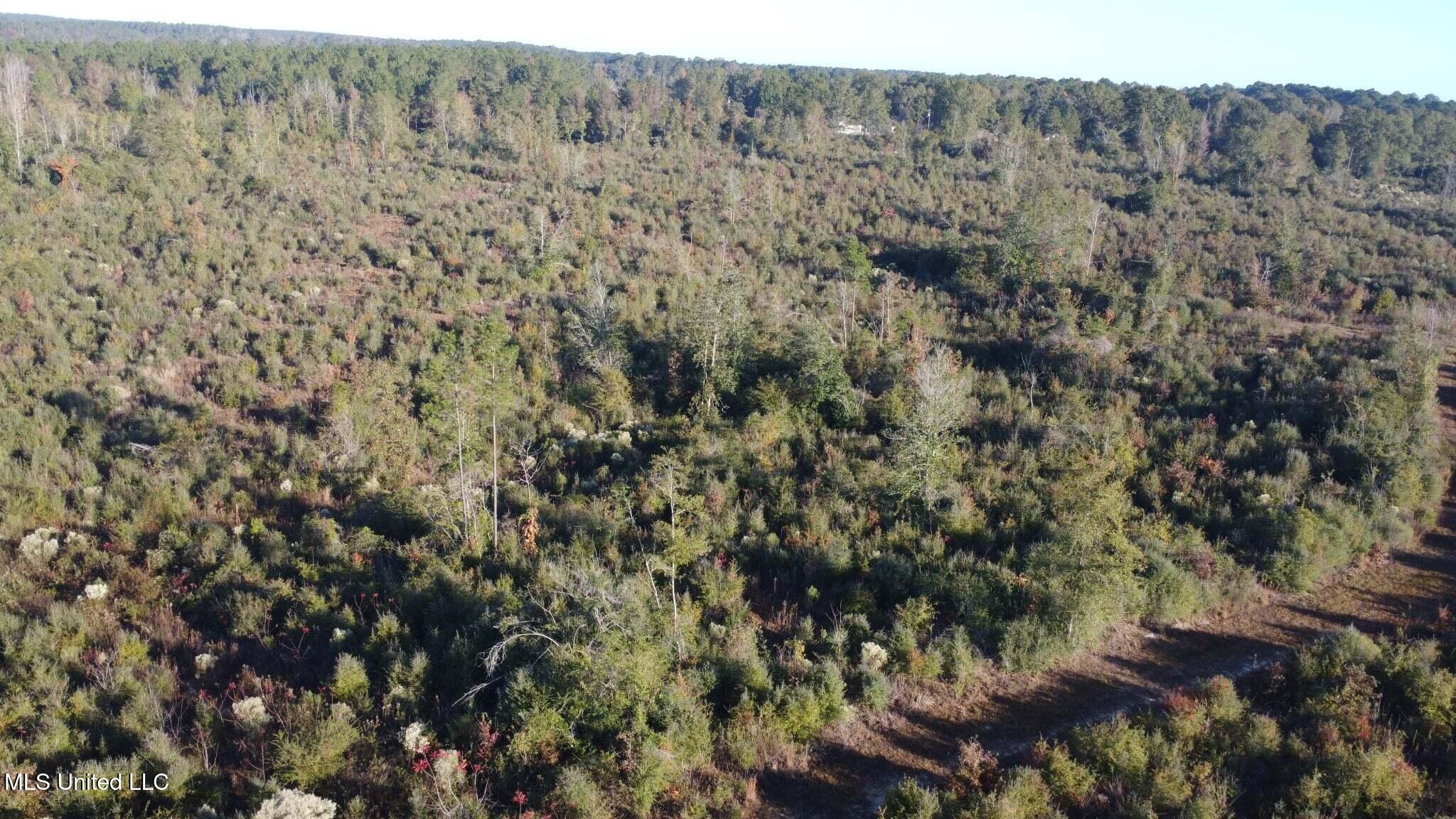 280 Pushapatapa Road Tylertown, MS 39667 - Photo 79 of 79 f1b68b10-46e9-4455-b4a9-e9f805e43cbb