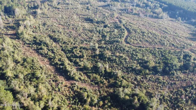 $161,000 | 280 Pushapatapa Road, Tylertown, MS 39667