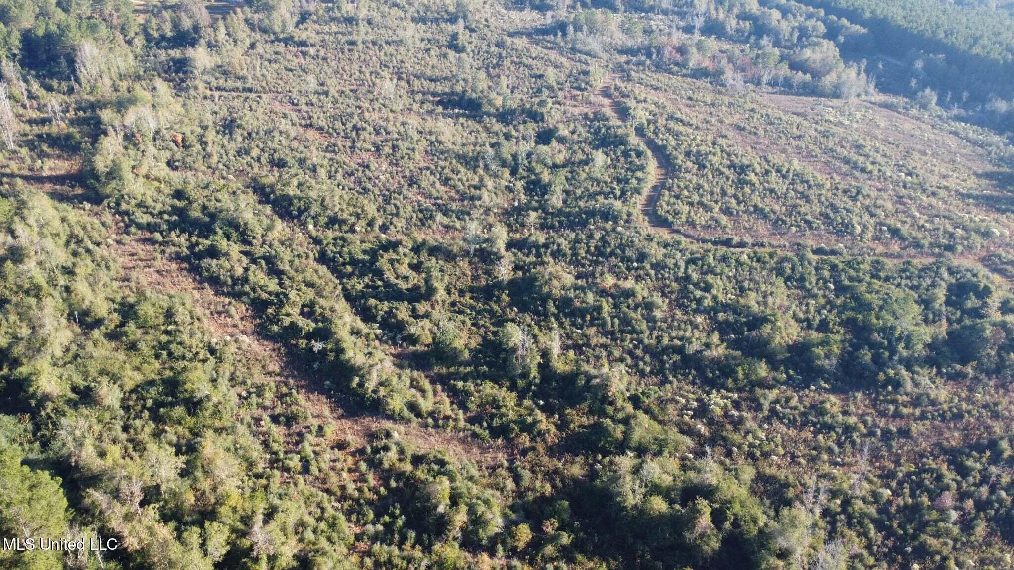 280 Pushapatapa Road Tylertown, MS 39667 - Photo 8 of 79 4d0d94c2-cc8c-4213-8a70-329f1374758f