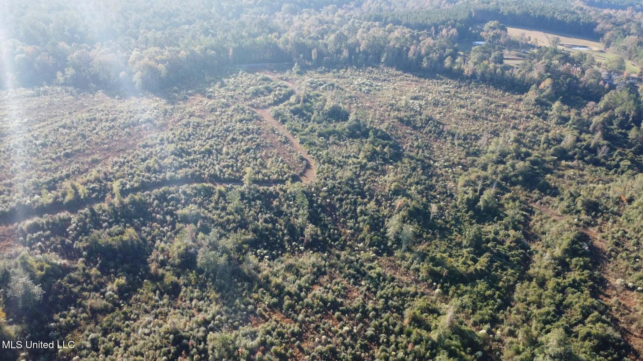 280 Pushapatapa Road Tylertown, MS 39667 - Photo 9 of 79 4f7aea40-3d4d-4e9a-b8a4-f5a3db750c0f