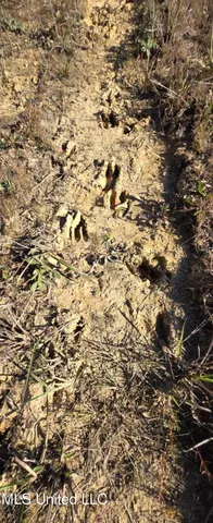 $161,000 | 280 Pushapatapa Road, Tylertown, MS 39667