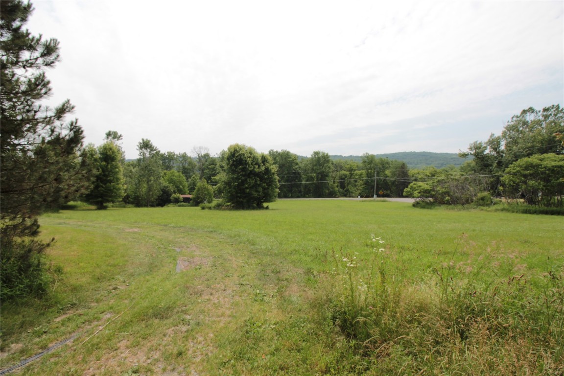 7712 Nys Rte 79 Whitney Point, NY 13862 - Photo 42 of 48