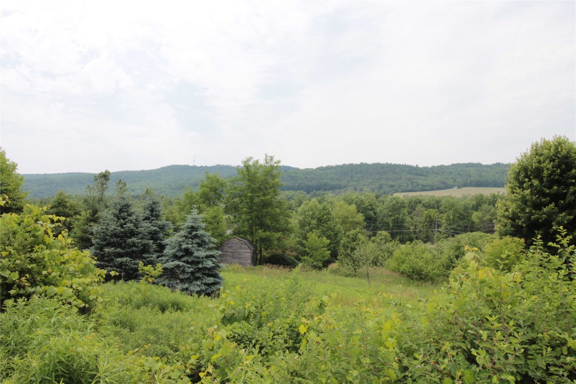 7712 Nys Rte 79 Whitney Point, NY 13862 - Photo 48 of 48