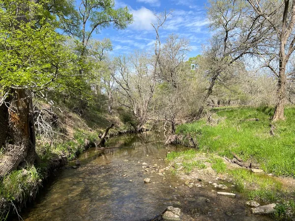 a view of a forest with trees