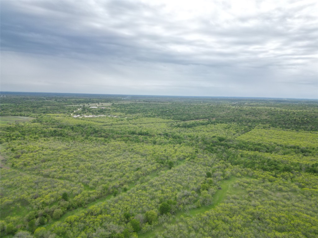 Tbd Cunningham Drive Lockhart, TX 78644 - Photo 13 of 14