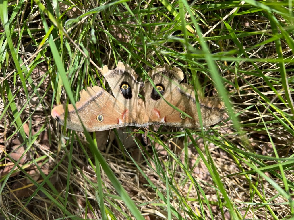 Tbd Cunningham Drive Lockhart, TX 78644 - Photo 4 of 14