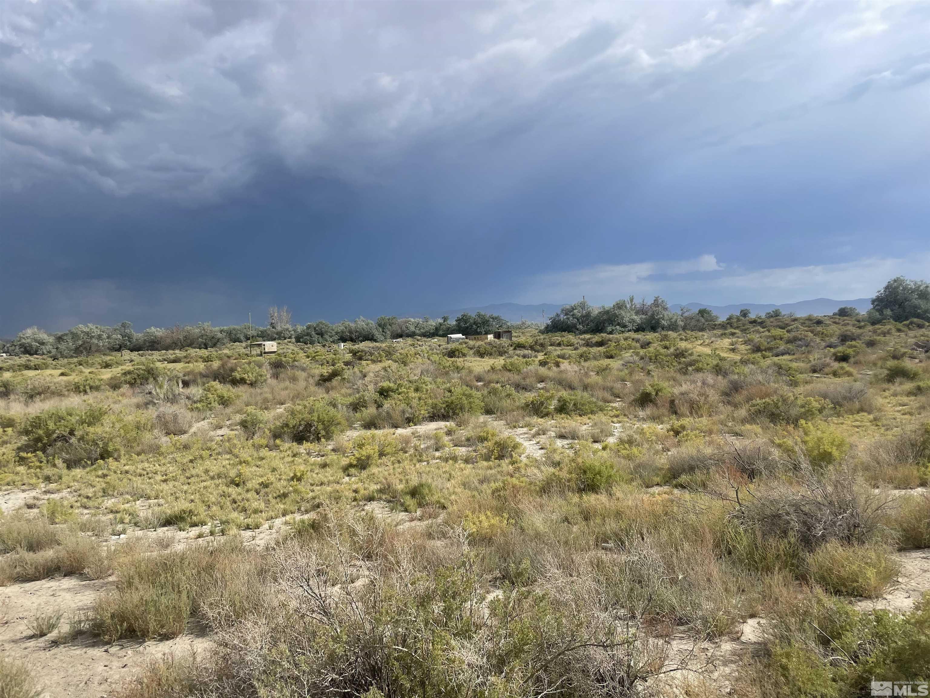 7738 Curry Road Fallon, NV 89406 - Photo 1 of 1 a view of a field with a building in background