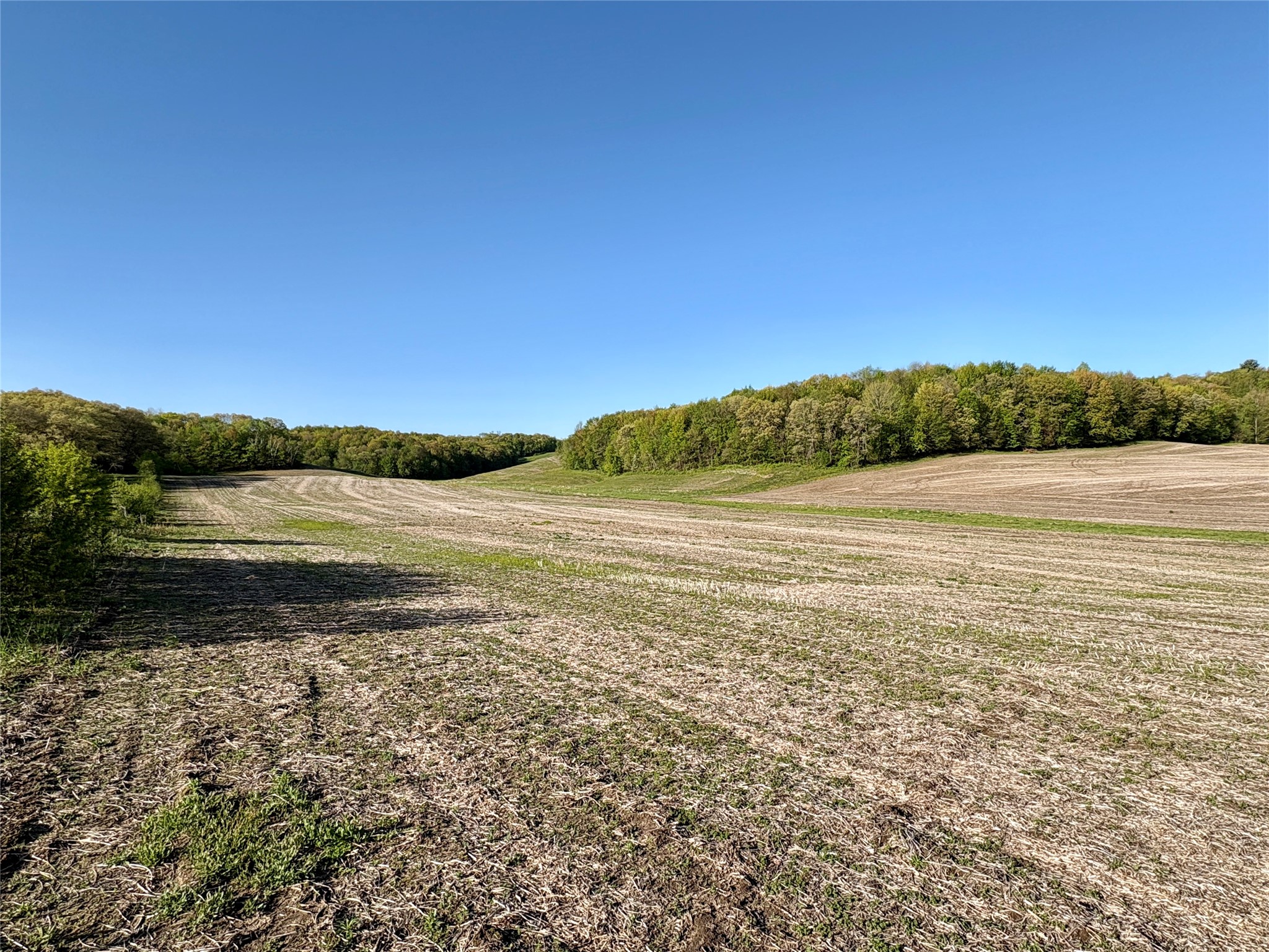 0 County Rd OO Strum, WI 54770 - Photo 28 of 59
