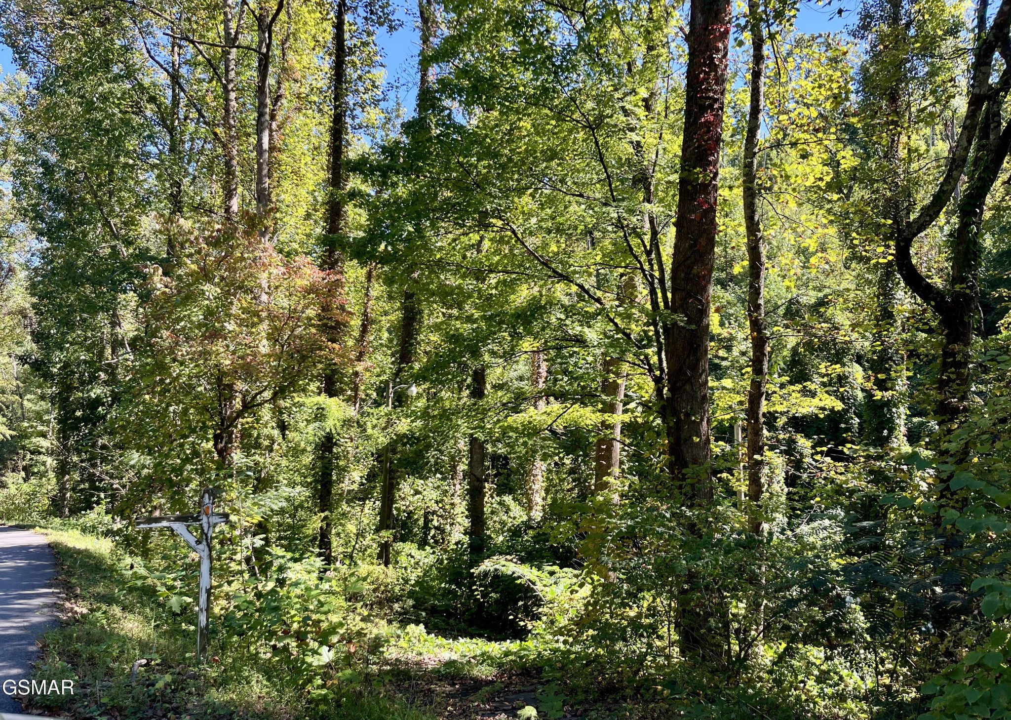 3637 Cool Creek Road Sevierville, TN 37862 - Photo 1 of 5 Gallery Image 1