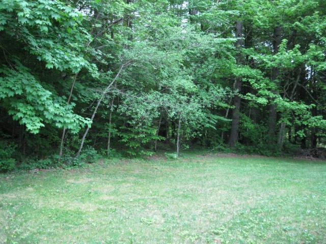 11 Crain Road Surry, NH 03431 - Photo 14 of 15