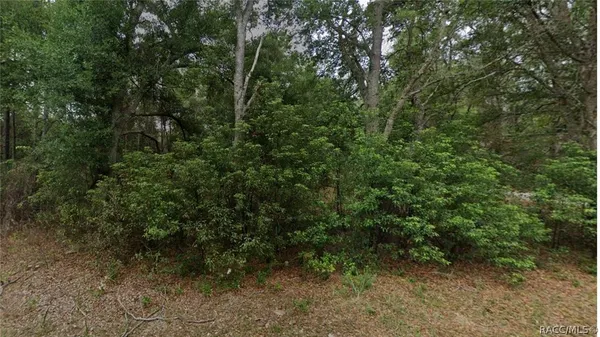 $15,000 | 8547 North Fauci Point, Crystal River, FL 34428