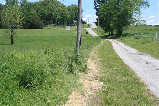 1 Ed McCormack Road Prospect, TN 38477 - Photo 5 of 5 a view of a park