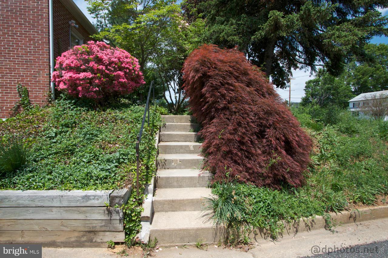 24 Mountain Road Fallston, MD 21047 - Photo 14 of 19 a view of a garden with potted plants
