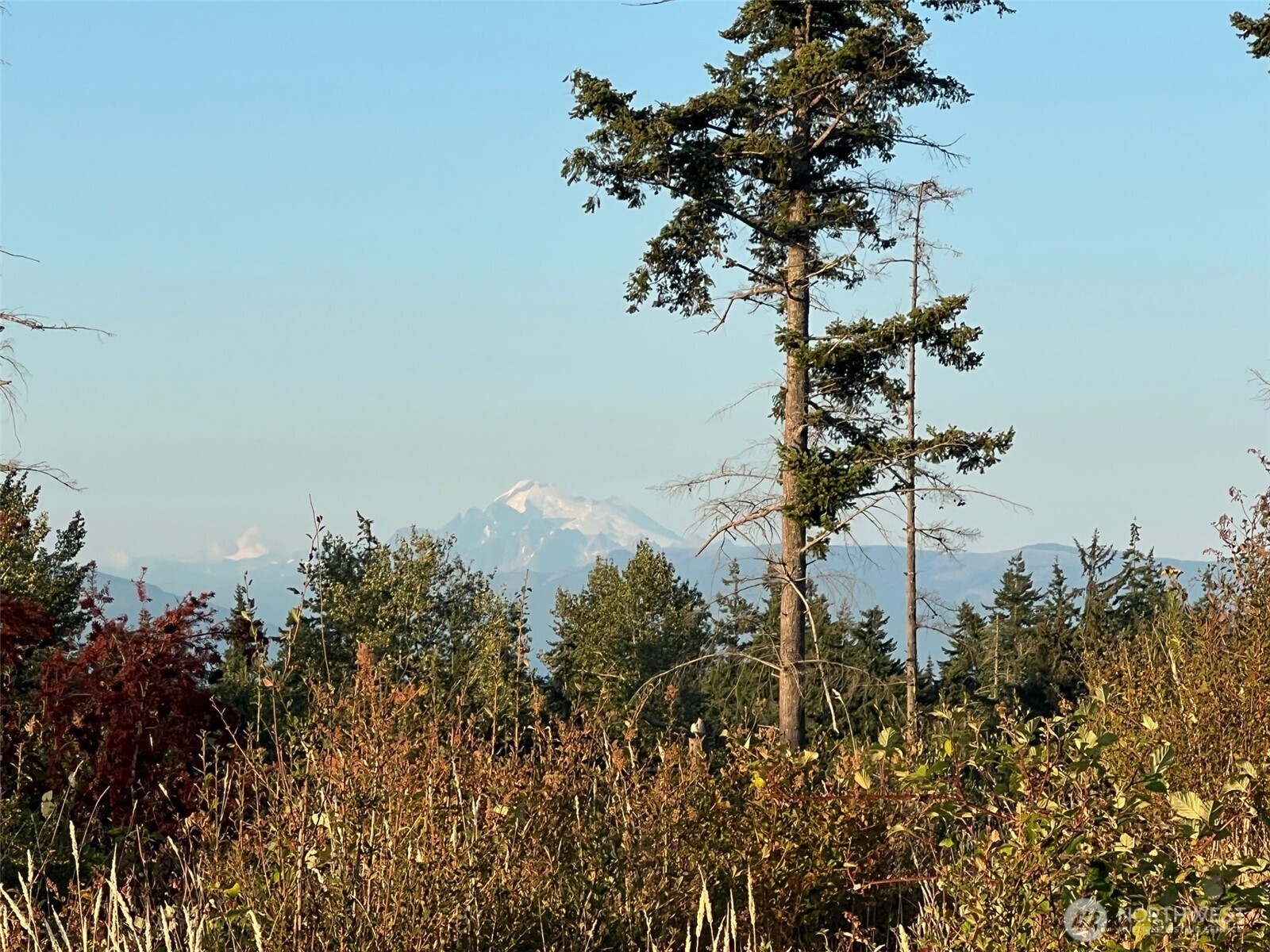 7006 State Rte 20 Anacortes, WA 98221 - Photo 13 of 21