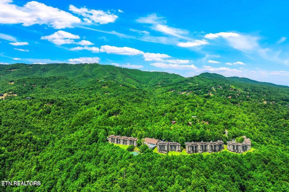 3710 Weber Road, Unit C203 Gatlinburg, TN 37738 - Photo 36 of 36 20250405234309814586000000-o