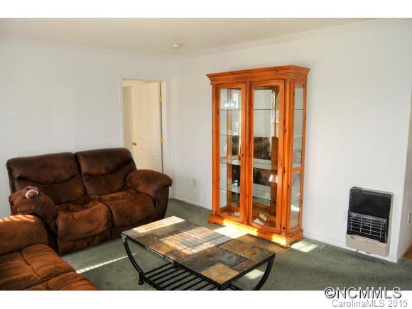 19 Riley Lane Flat Rock, NC 28731 - Photo 4 of 16 Gallery Image 4