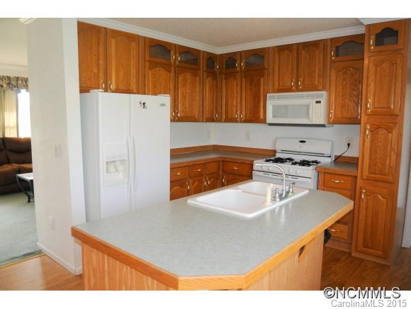 19 Riley Lane Flat Rock, NC 28731 - Photo 7 of 16 Gallery Image 7