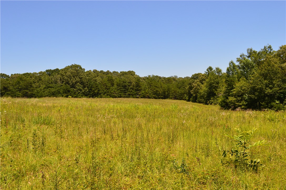 1029 Terrapin Crossing Road Liberty, SC 29657 - Photo 3 of 11