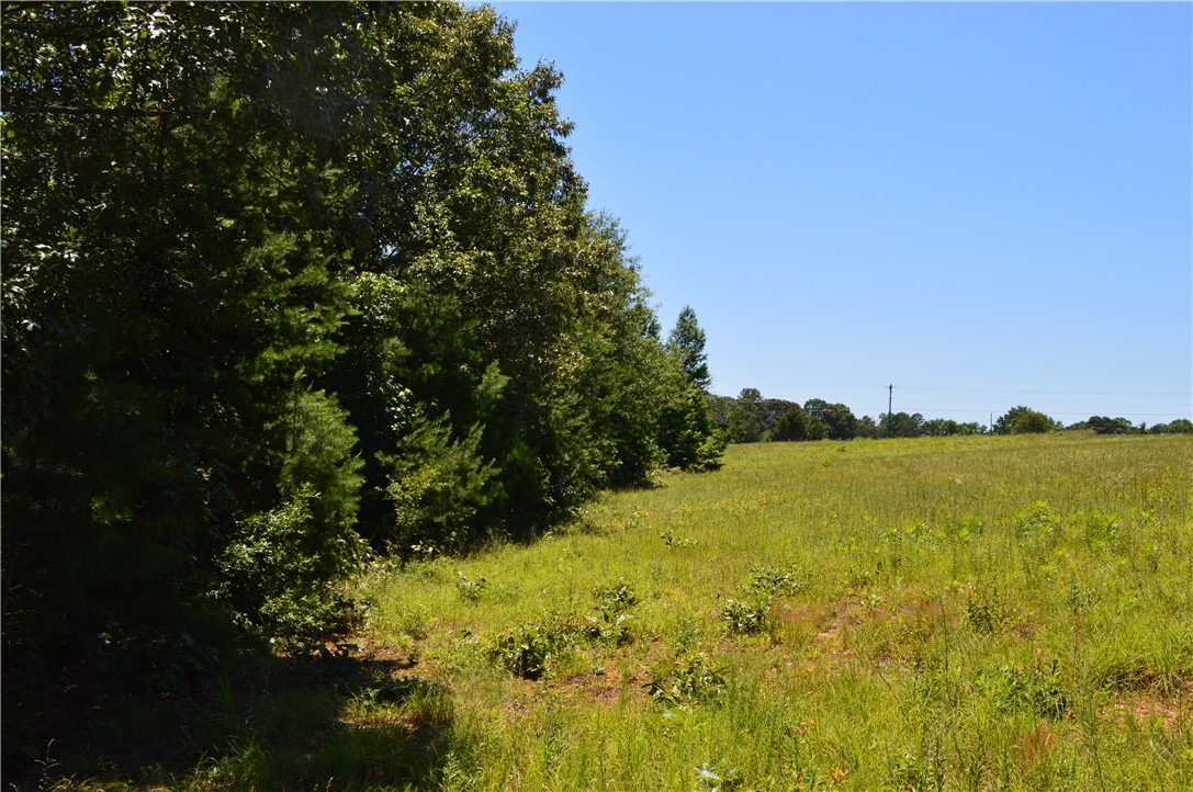1029 Terrapin Crossing Road Liberty, SC 29657 - Photo 5 of 11