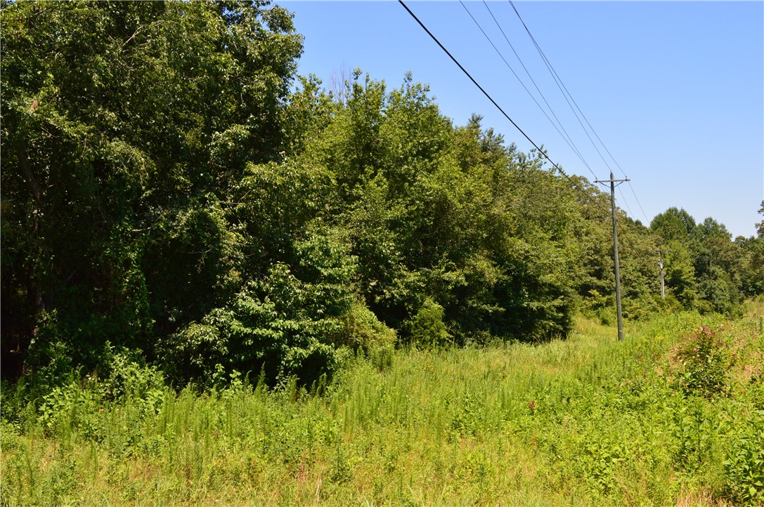 1029 Terrapin Crossing Road Liberty, SC 29657 - Photo 8 of 11