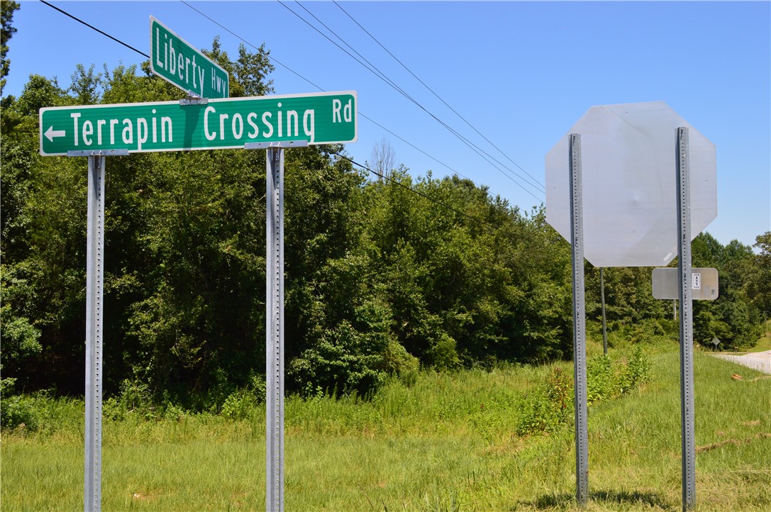 1029 Terrapin Crossing Road Liberty, SC 29657 - Photo 9 of 11