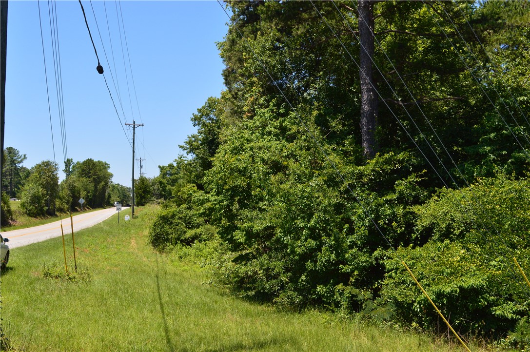 1029 Terrapin Crossing Road Liberty, SC 29657 - Photo 10 of 11