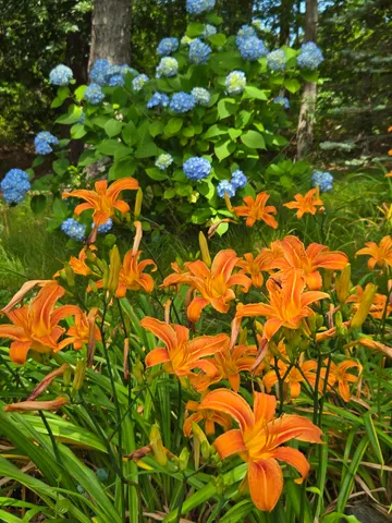 $795,000 | 718 Cedar Street, West Barnstable, MA 02668