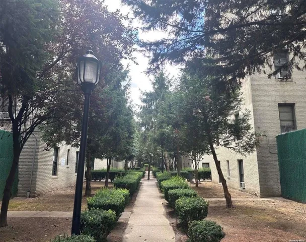 a park with large trees and a pathway