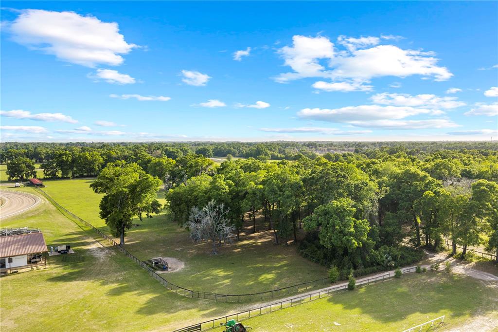 1150 Northeast 155th Place Citra, FL 32113 - Photo 3 of 17 a view of a lake with a yard