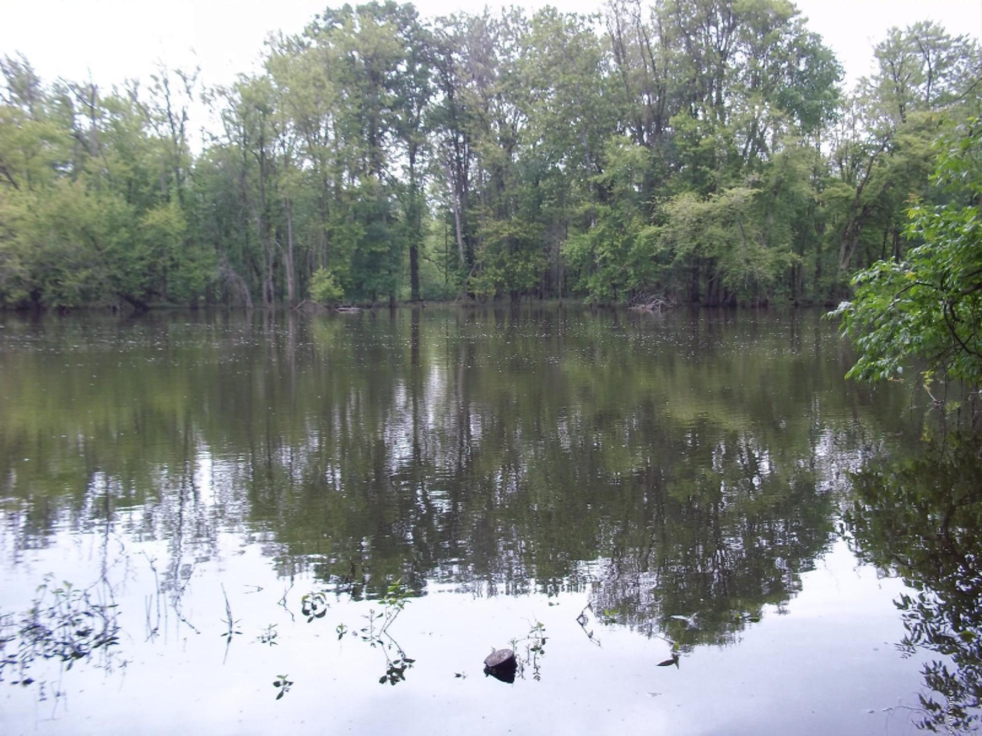 60225 Constantine Road Three Rivers, MI 49093 - Photo 7 of 17 100_5666