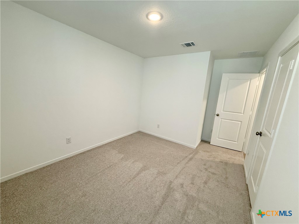 311 Moscato Road New Braunfels, TX 78130 - Photo 19 of 38 an empty room with a natural light