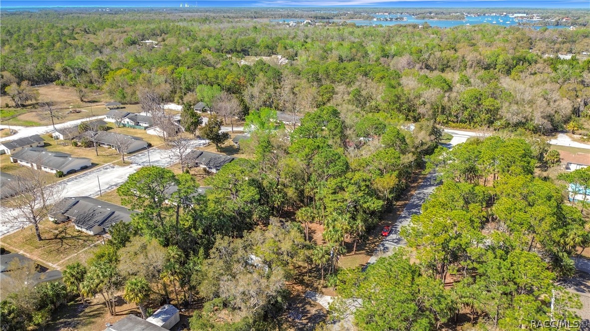 416 North Hourglass Terrace Crystal River, FL 34429 - Photo 7 of 62
