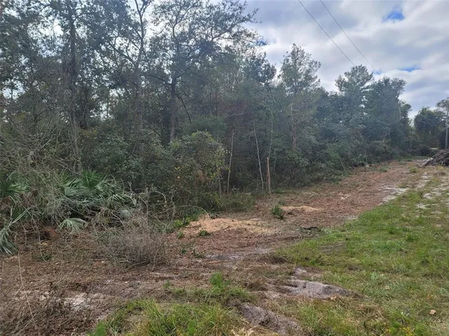 $130,000 | Cooter Pond Road, DeLand, FL 32720