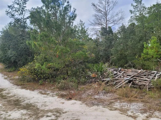 $130,000 | Cooter Pond Road, DeLand, FL 32720