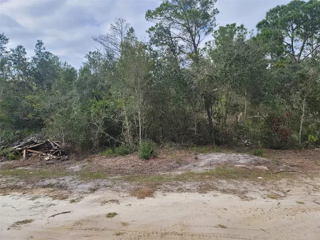 $130,000 | Cooter Pond Road, DeLand, FL 32720