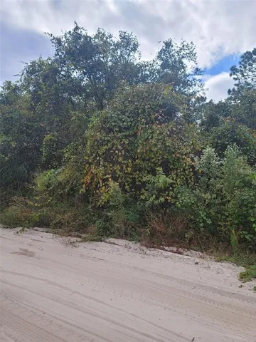 $130,000 | Cooter Pond Road, DeLand, FL 32720